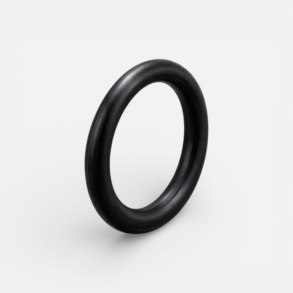 O-Ring für Frontscheinwerfer – Dualtron Aminia