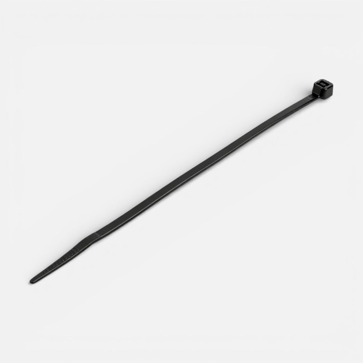 Rislan nylon cable tie 3x100 mm black