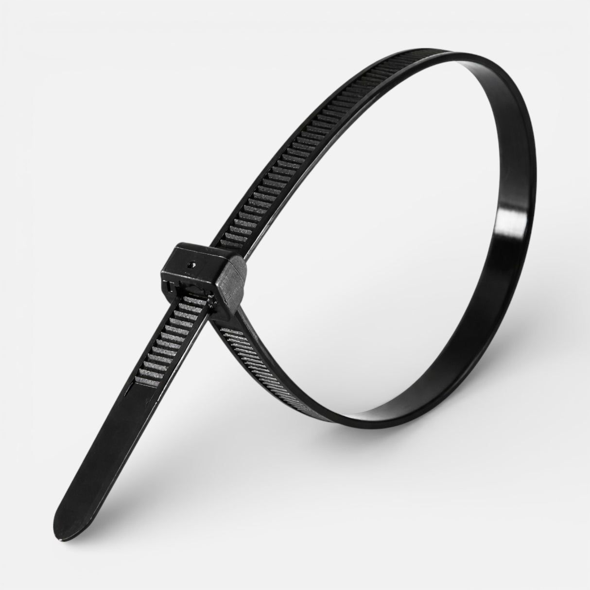 Rislan nylon cable tie 3x100 mm black