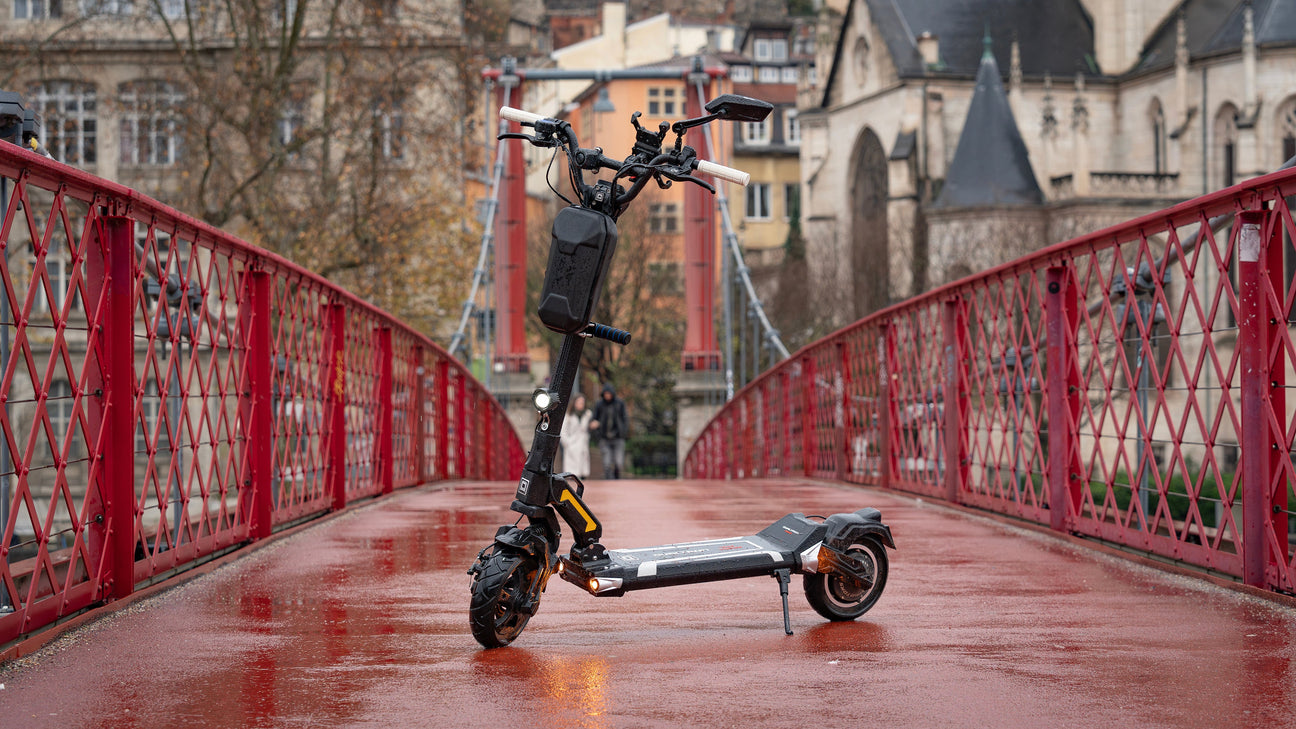 Dualtron Alien / Sonic