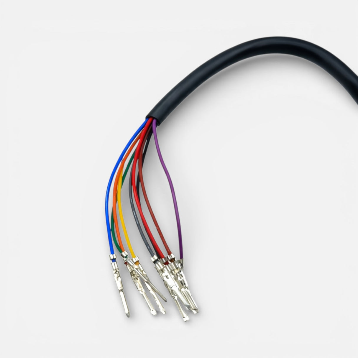 Display EY4 X Limited – Dualtron X Limited