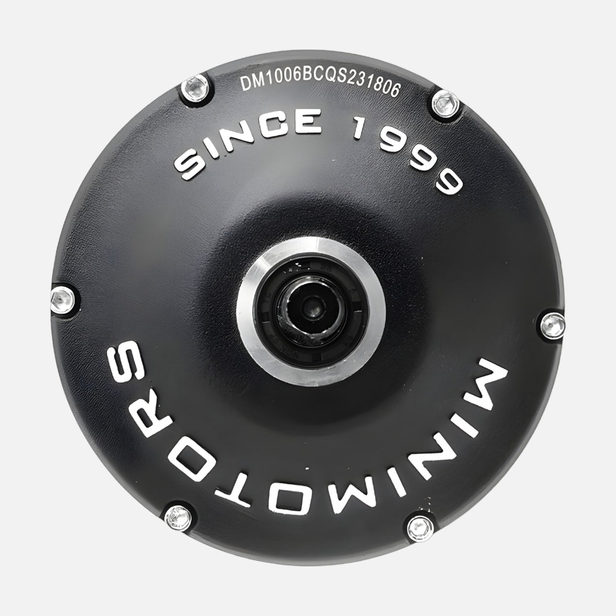 Vis BTR roue arrière Dualtron Mini (x6)